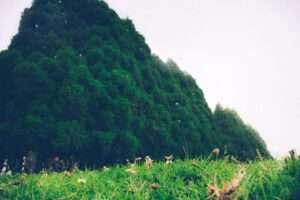 Meghalaya